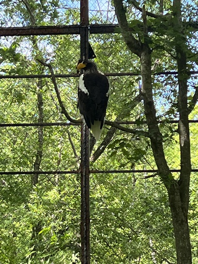 釧路動物園 釧路動物園