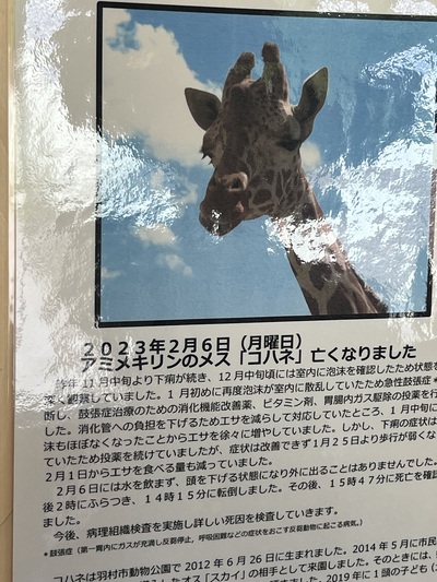 釧路動物園 釧路動物園
