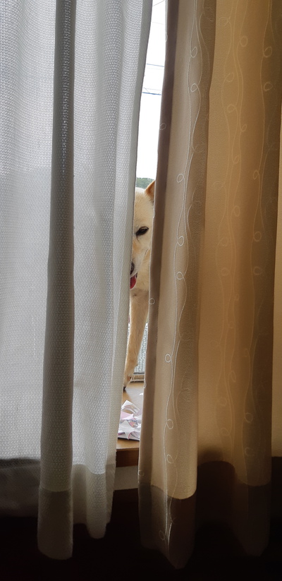 仲良し 仲良し