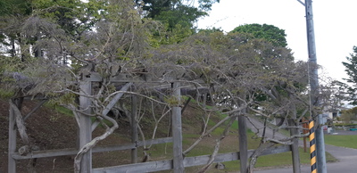 仲良し 仲良し