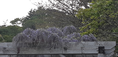 仲良し 仲良し