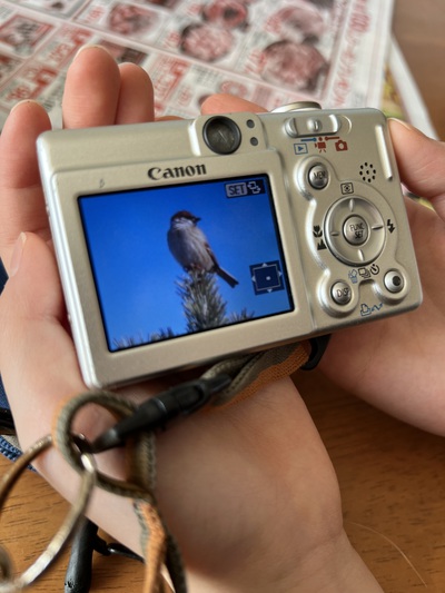 デジカメ デジカメ