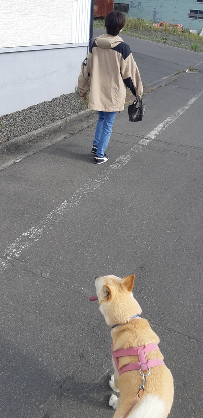 2回目 2回目