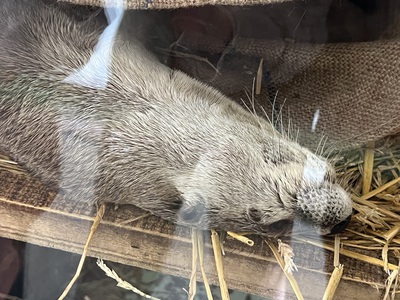 釧路動物園 釧路動物園