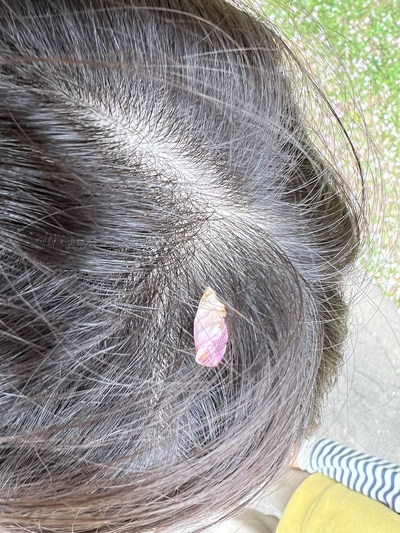 あっけし桜・牡蠣まつり 標津サーモン科学館 麺屋武双 あっけし桜・牡蠣まつり 標津サーモン科学館 麺屋武双
