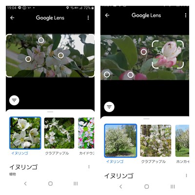 仲良し 仲良し