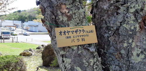 子野日公園 普賢象 子野日公園 普賢象