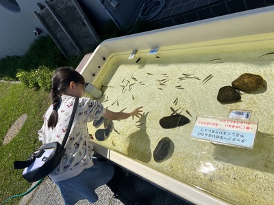 7月3日の記事 7月3日の記事