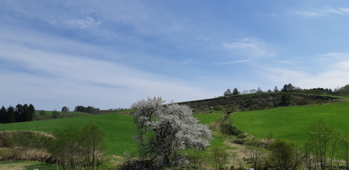子野日公園 普賢象 子野日公園 普賢象