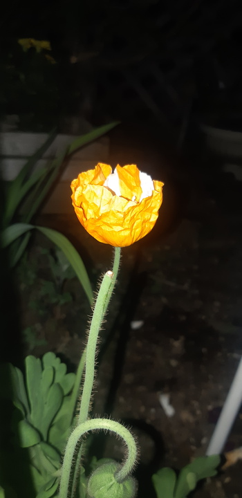仲良し 仲良し