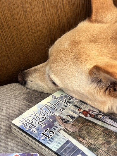 7月3日の記事 7月3日の記事