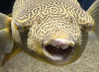 北の大地の水族館 北の大地の水族館
