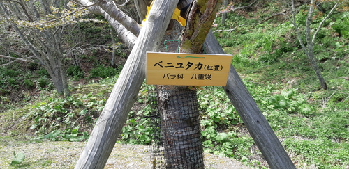 子野日公園 普賢象 子野日公園 普賢象