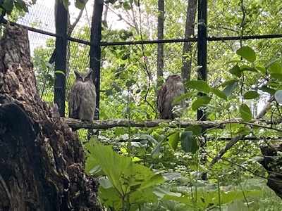 釧路動物園 釧路動物園