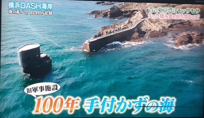 仲良し 仲良し