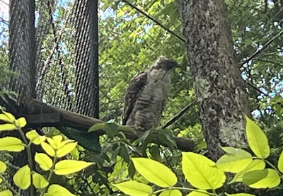 釧路動物園 釧路動物園