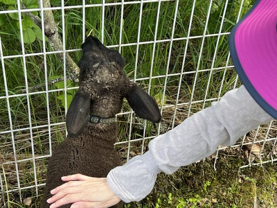 釧路動物園 釧路動物園