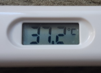 2回目 2回目