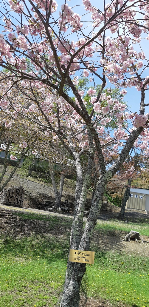 子野日公園 普賢象 子野日公園 普賢象