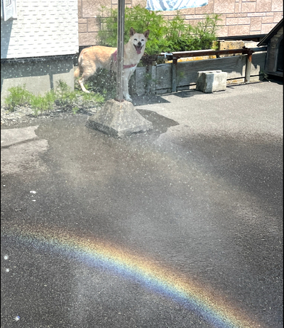 7月3日の記事 7月3日の記事