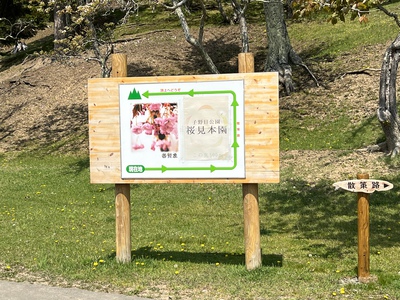 あっけし桜・牡蠣まつり 標津サーモン科学館 麺屋武双 あっけし桜・牡蠣まつり 標津サーモン科学館 麺屋武双