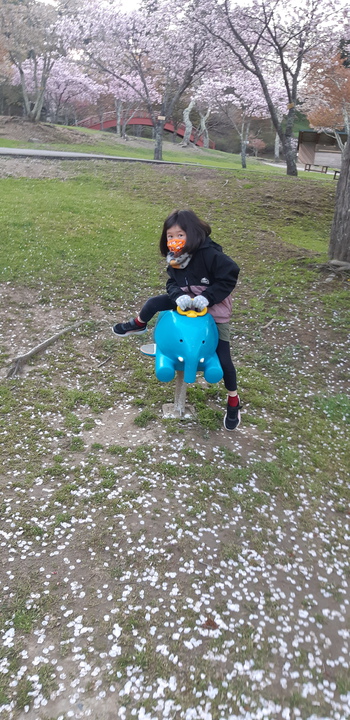 子野日公園 普賢象 子野日公園 普賢象