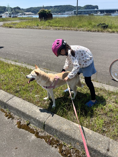7月3日の記事 7月3日の記事