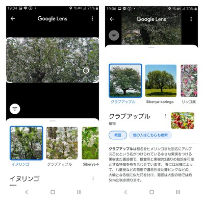 仲良し 仲良し