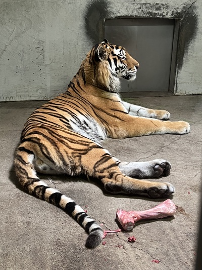 釧路動物園 釧路動物園