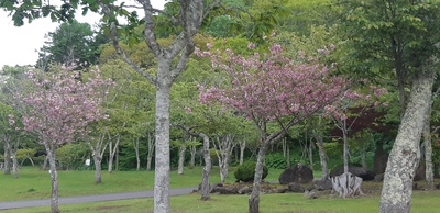 仲良し 仲良し