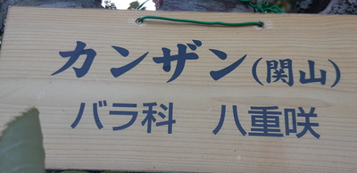 ご飯つぶ ご飯つぶ