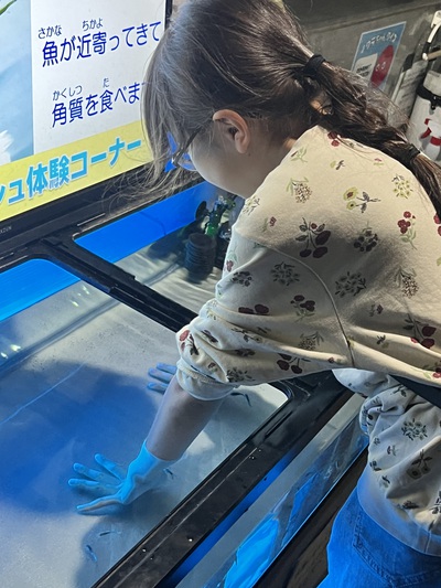 7月3日の記事 7月3日の記事