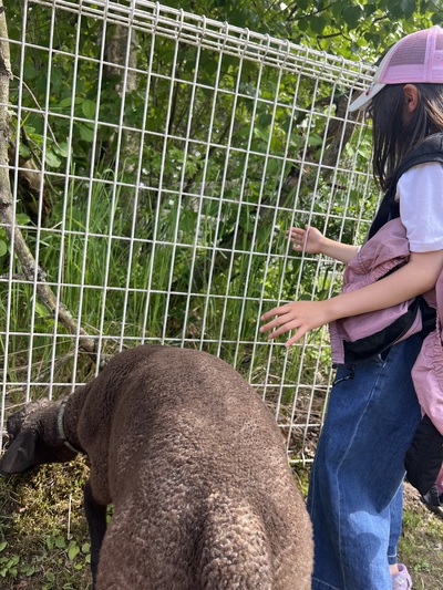 釧路動物園 釧路動物園