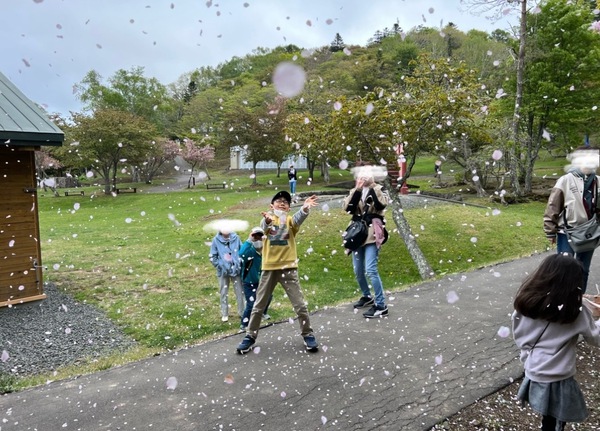 桜吹雪 桜吹雪