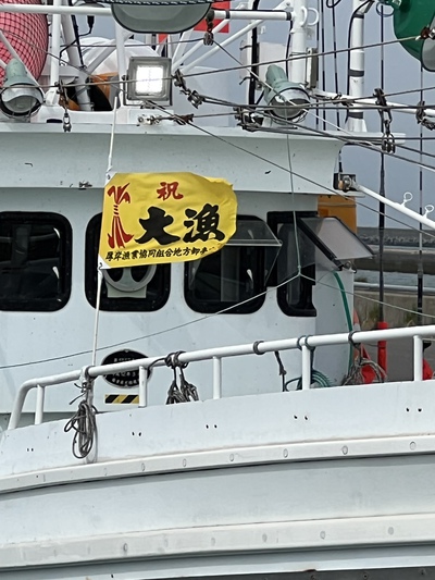 ツンツン?クルクル? ツンツン?クルクル?