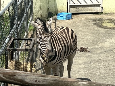 釧路動物園 釧路動物園