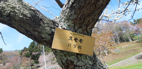 子野日公園 普賢象 子野日公園 普賢象