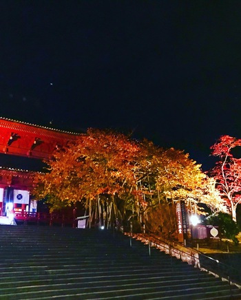 輪王寺のライトアップ