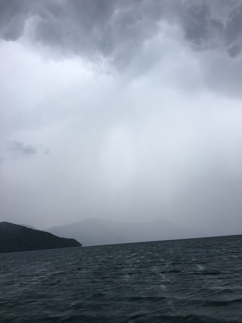 8月15日 琵琶湖 北湖 フィールドレポート1