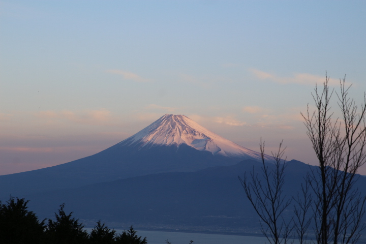 富士山と夜景を楽しむキャンプ～伊豆だるま山高原キャンプ場～