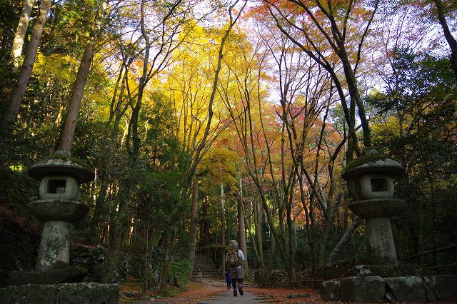 *京都一周トレイル* その弐 上桂~高雄~高山寺 *京都一周トレイル* その弐 上桂~高雄~高山寺