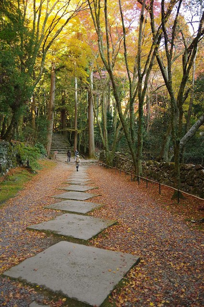*京都一周トレイル* その弐 上桂~高雄~高山寺 *京都一周トレイル* その弐 上桂~高雄~高山寺