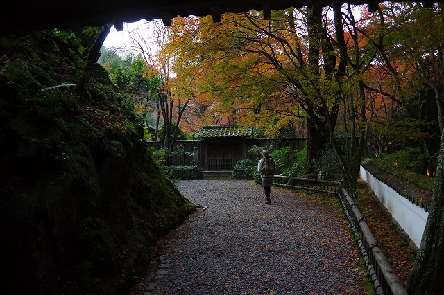 *京都一周トレイル* その弐 上桂~高雄~高山寺 *京都一周トレイル* その弐 上桂~高雄~高山寺