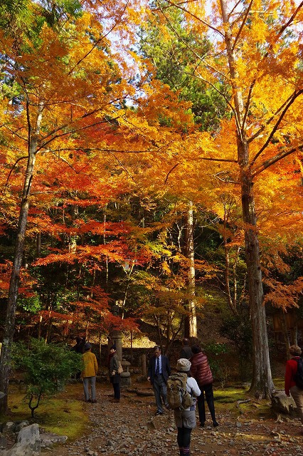 *京都一周トレイル* その弐 上桂~高雄~高山寺 *京都一周トレイル* その弐 上桂~高雄~高山寺