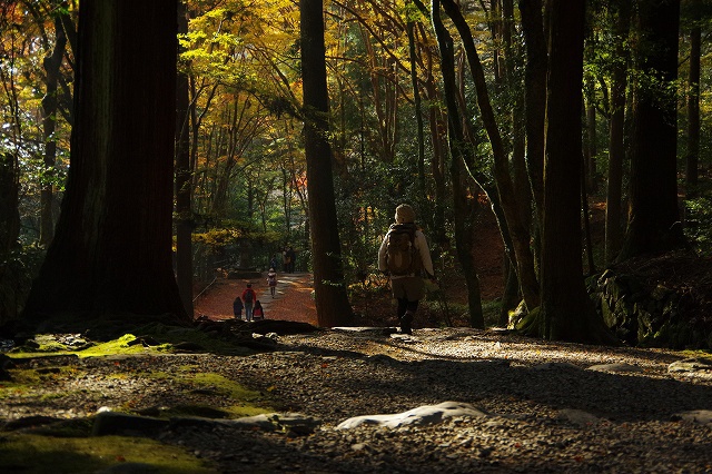 *京都一周トレイル* その弐 上桂~高雄~高山寺 *京都一周トレイル* その弐 上桂~高雄~高山寺
