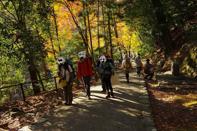 *京都一周トレイル* その弐 上桂~高雄~高山寺 *京都一周トレイル* その弐 上桂~高雄~高山寺