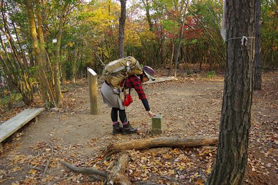 *フィナーレは・・らしく・・・京都1周トレイル 西山コース* *フィナーレは・・らしく・・・京都1周トレイル 西山コース*
