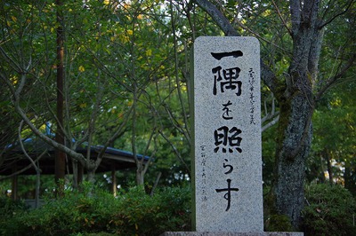 * LAST MOMIJI * 晩秋の書写山 兵庫100山 * LAST MOMIJI * 晩秋の書写山 兵庫100山