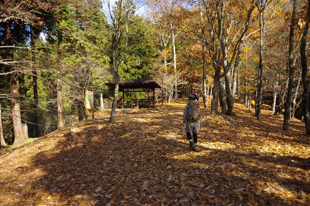 ＊　こんどこそラストです（笑）・・LAST　MOMIJI　2＊　もみじ山（最上山）