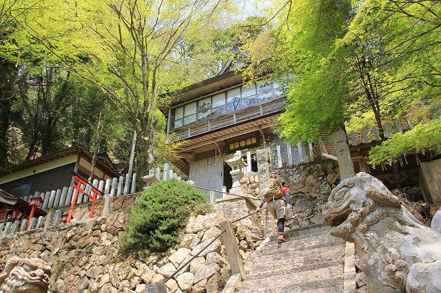 * はしごハイク 青倉山 * 兵庫100山 * はしごハイク 青倉山 * 兵庫100山